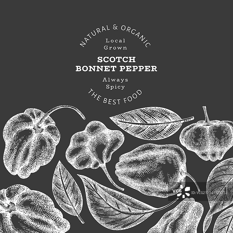 手绘苏格兰帽辣椒图片素材