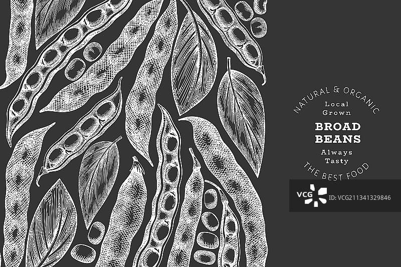 手绘蚕豆设计模板图片素材