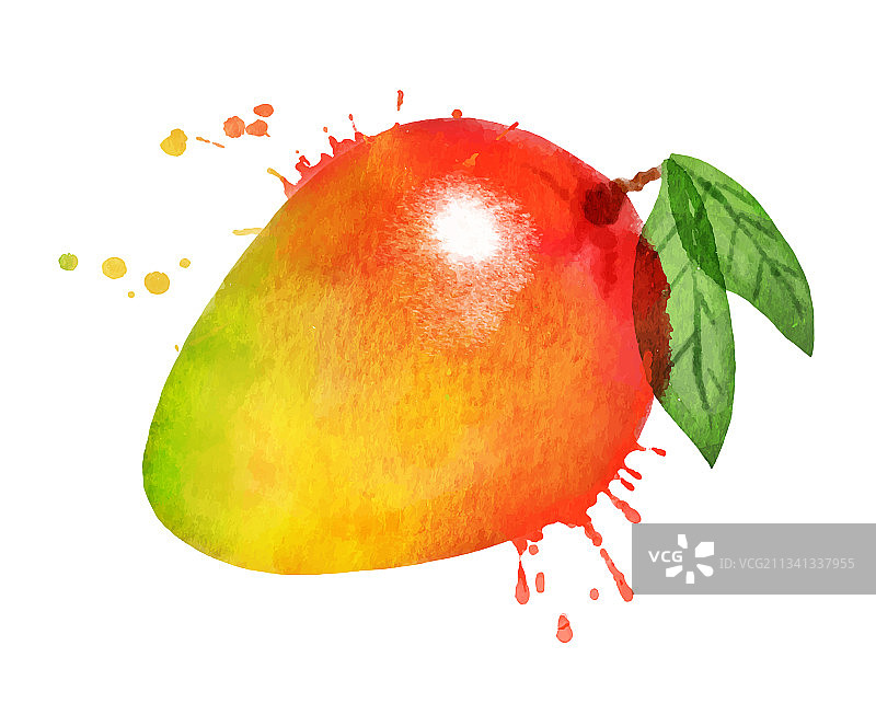 水彩芒果图片素材