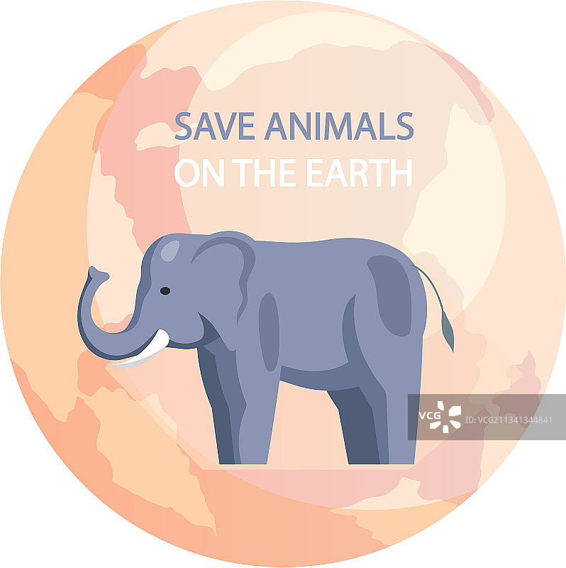 代表性生物多样性野生大象图片素材