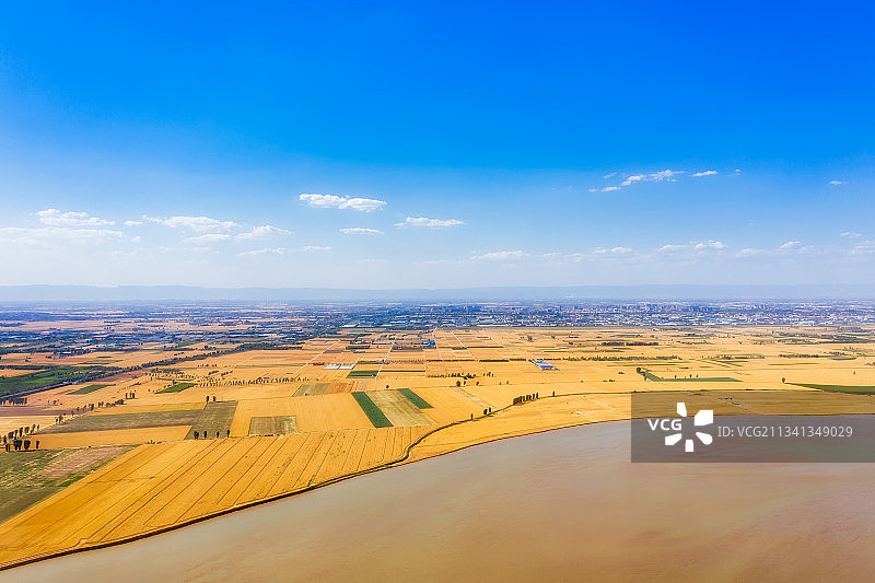 河南焦作温县黄河岸边夏季丰收的麦田户外风光航拍视角图片素材