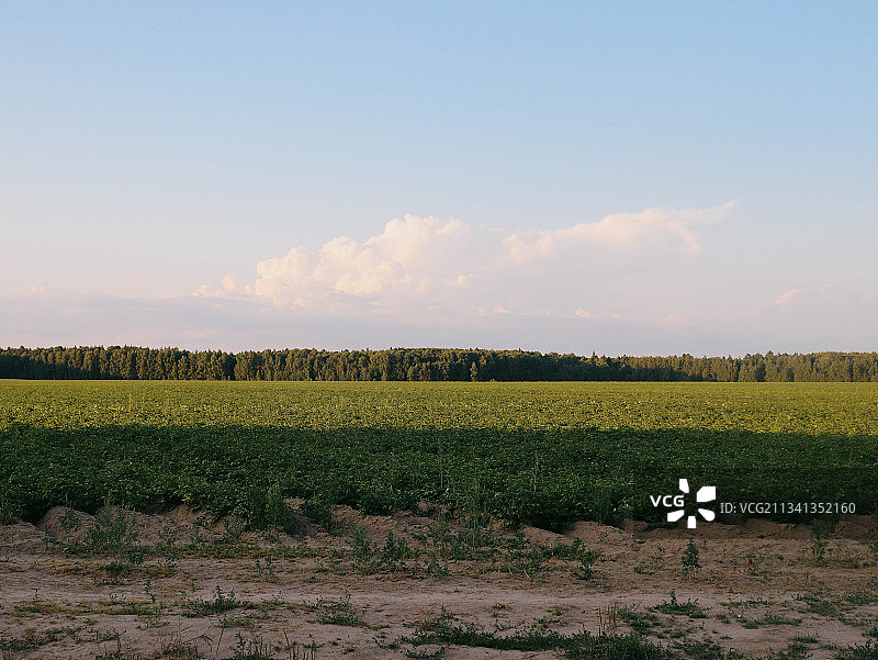俄罗斯的田园风光图片素材