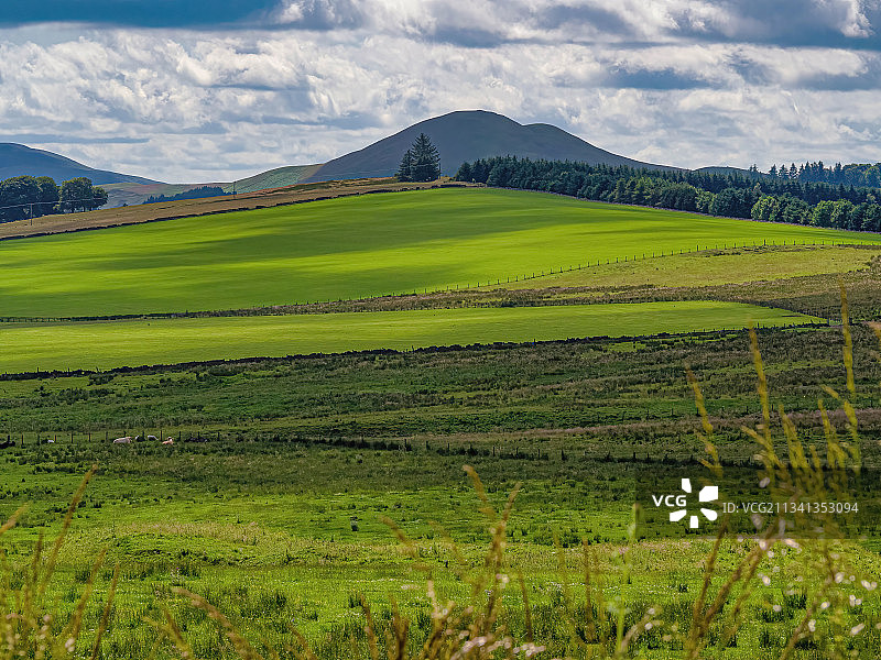 英国皮布尔斯农业田野风光图片素材