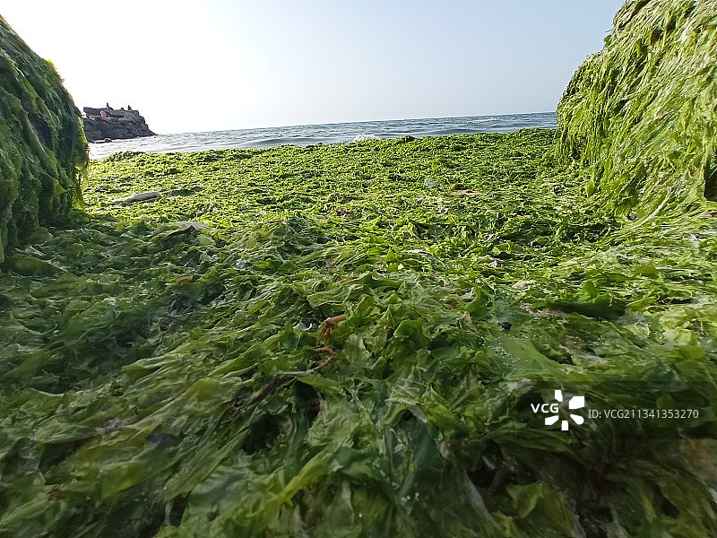 湛蓝天空下的海景图片素材