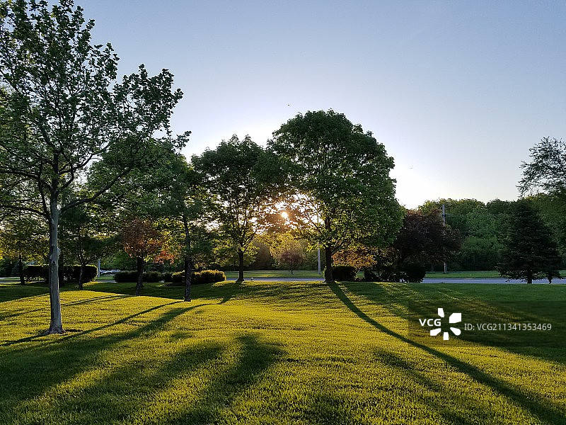 美国堪萨斯州欧弗兰帕克晴朗天空下田野上的树木图片素材