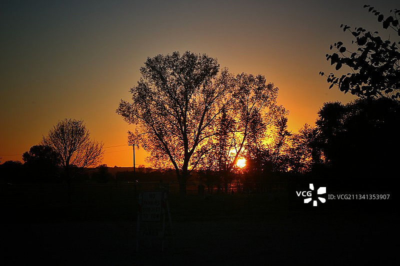 日落时天空衬托下田野上树木的剪影图片素材