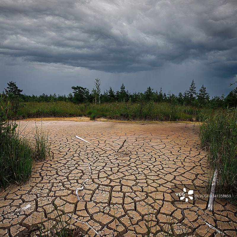 拉脱维亚帕瓦萨里田野风光图片素材