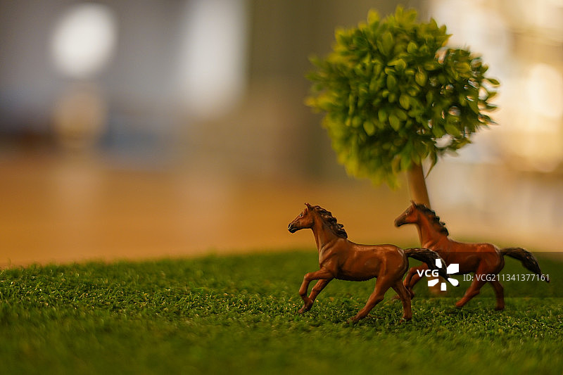 小狗在草地上玩球图片素材