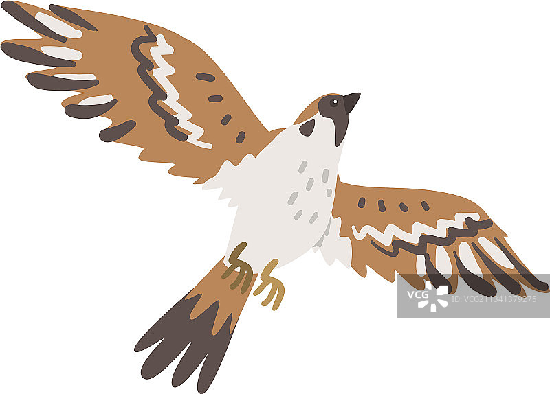 棕灰色小麻雀图片素材