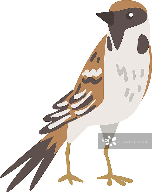 棕灰色小麻雀图片素材