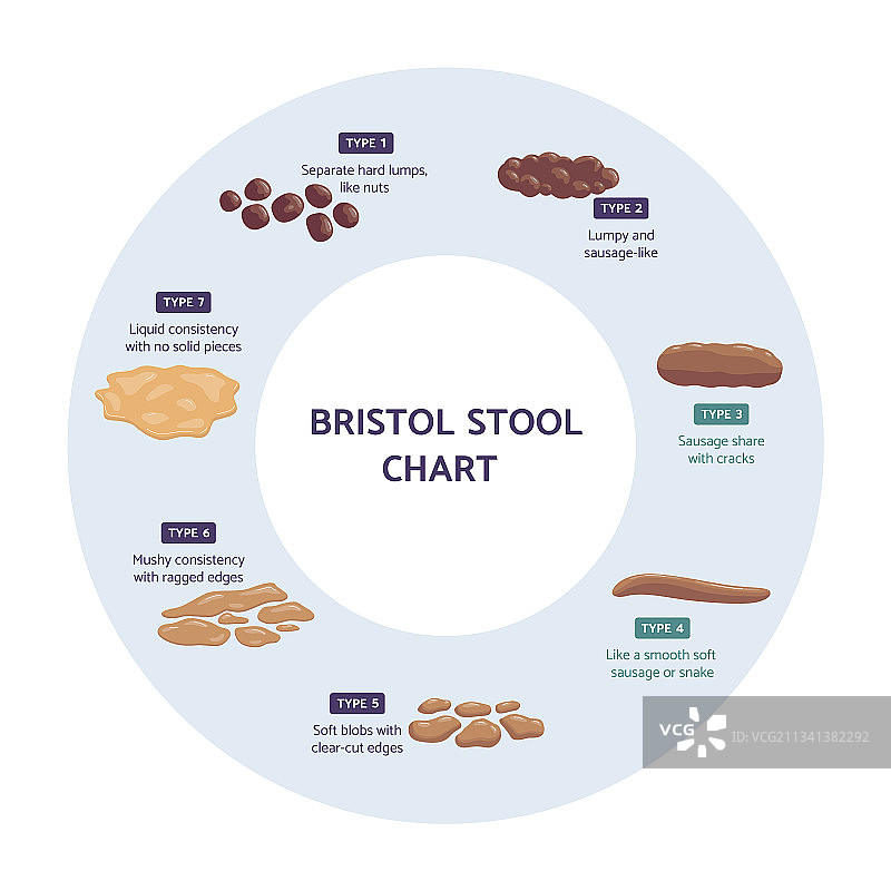 布里斯托大便分类图信息图图片素材
