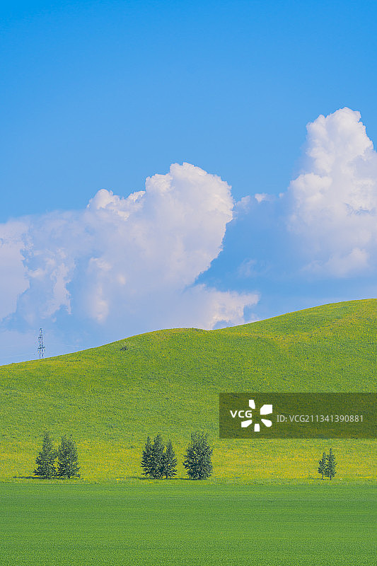 内蒙古呼伦贝尔海拉尔的大草原图片素材