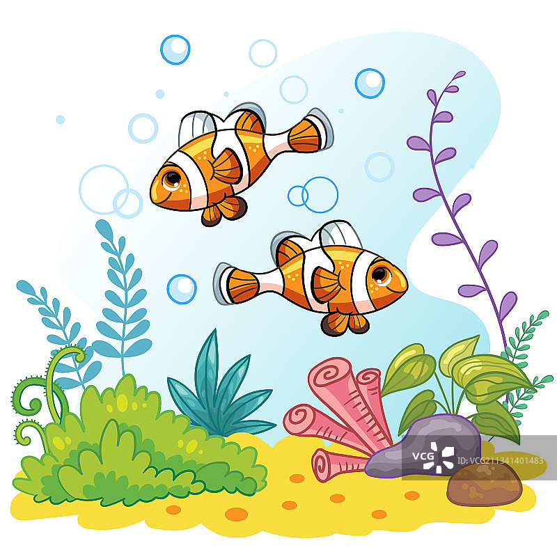 小丑鱼海洋生物世界背景图片素材