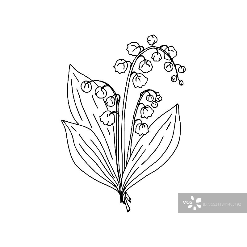 涂鸦铃兰图片素材