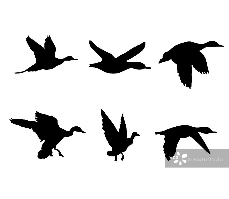 黑色剪影鸭子图片素材