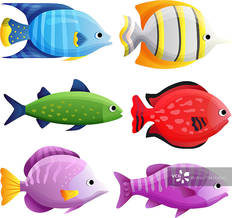混合热带鱼海洋生物图片素材