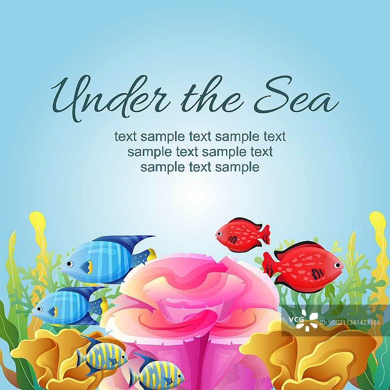 海底世界图片素材