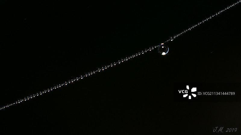 黑色背景下树枝上的水滴特写图片素材