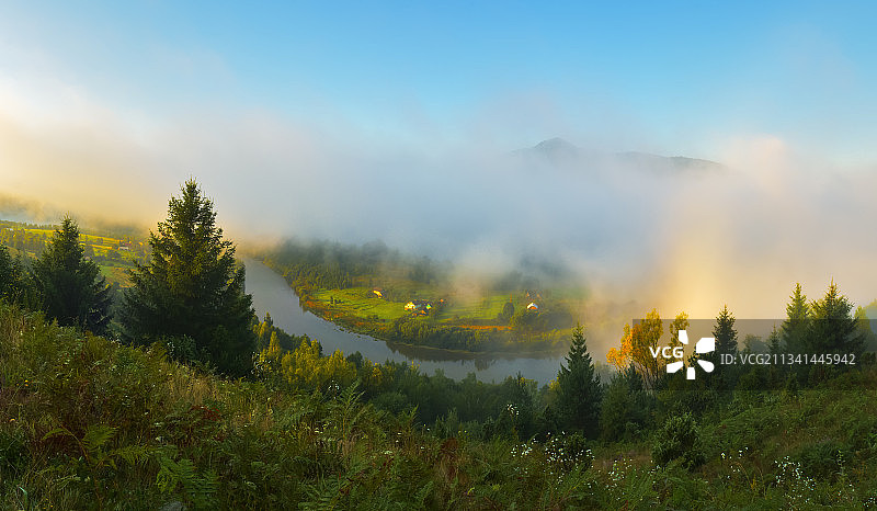 乌克兰雷布尼克日落时分的森林风光图片素材