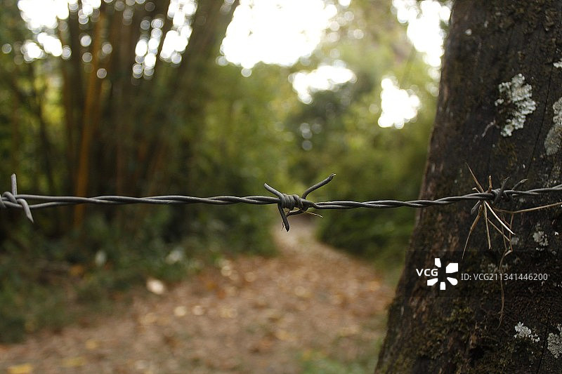 哥伦比亚带刺铁丝网近景图片素材