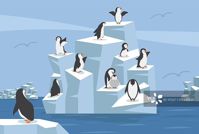 北极企鹅群图片素材