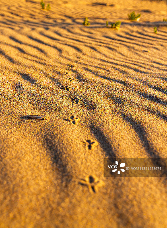 沙滩上沙滩足迹的高角度视图图片素材