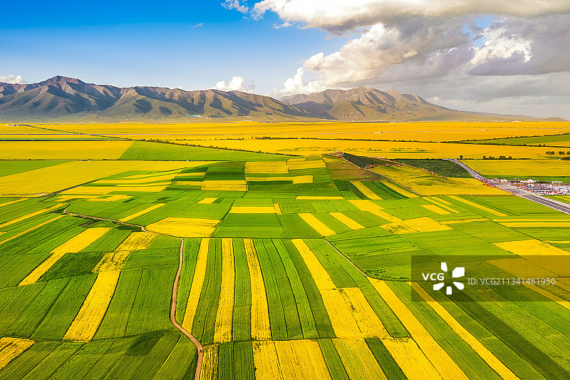 青海省门源县青石嘴镇油菜花田航拍图图片素材