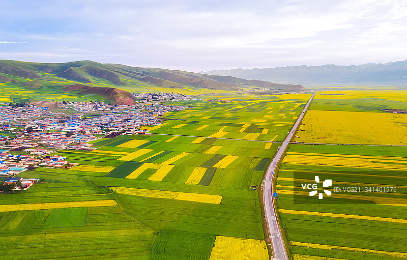青海省门源县青石嘴镇油菜花田航拍图图片素材