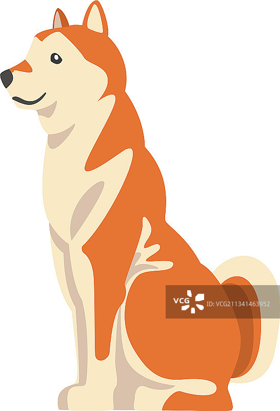 日本猎犬品种柴犬图片素材