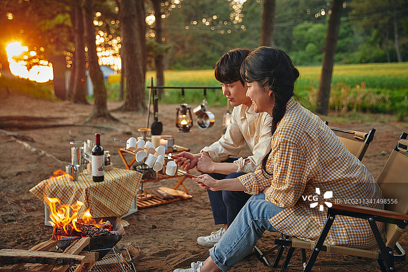 露营、汽车、自然、柴火、嬉戏、喜悦、面部表情、情侣、爱图片素材