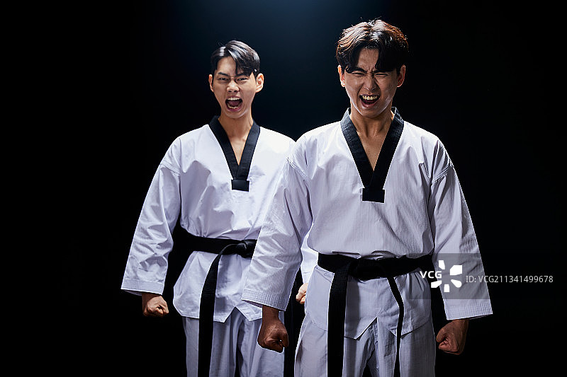 跆拳道、体育、竞赛、奥运会、武术、挑战、激情、活力、自信图片素材