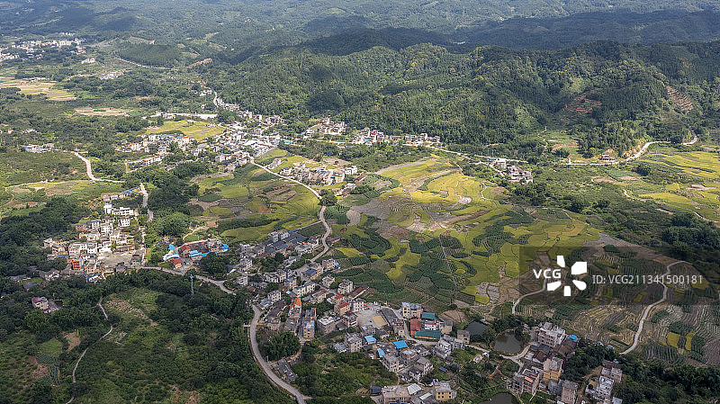 广州从化桂峰村稻田图片素材