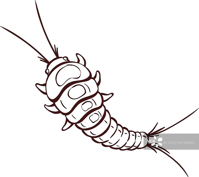 可爱的卡通蠹虫：一种浴室害虫图片素材