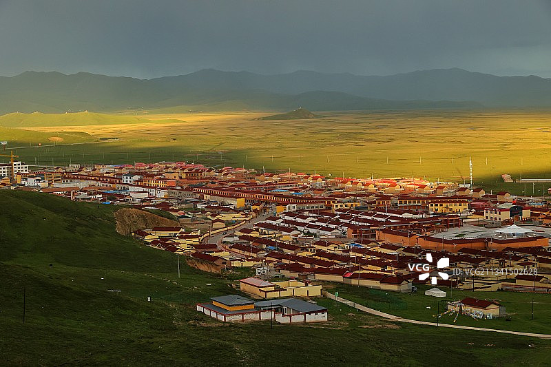 甘南阿万仓湿地图片素材