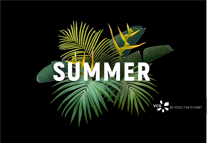 夏季热带banner或宣传单设计图片素材