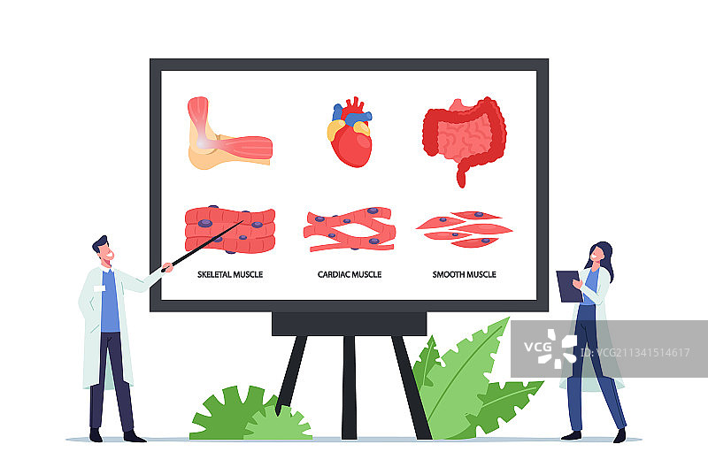 健康概念：医生在巨型人体旁工作图片素材