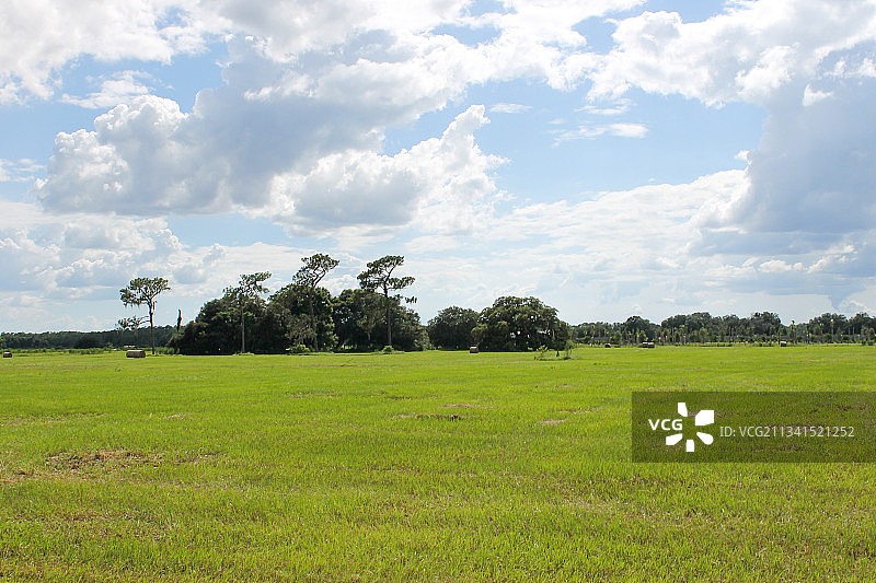 美国佛罗里达州泽弗希尔斯的田野风光图片素材