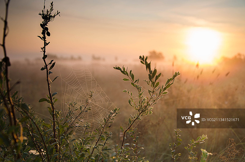 俄罗斯阿尔泰边疆区巴甫洛夫斯克日落时分的田野风光图片素材