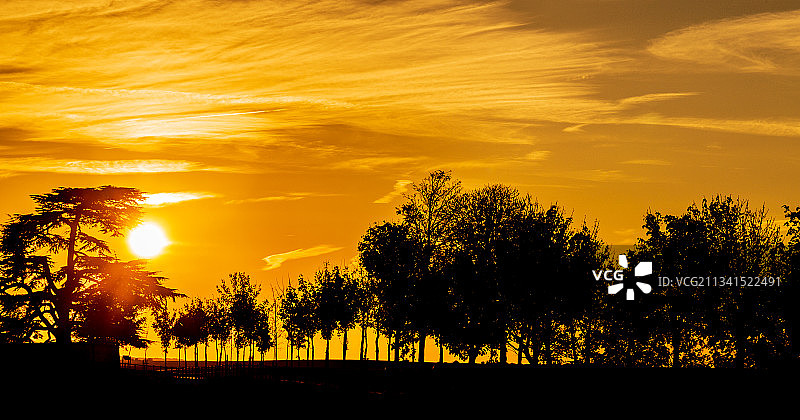 法国日落时分的天空下的树木轮廓图片素材