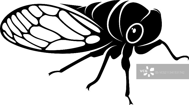 蝉创意设计logo图片素材