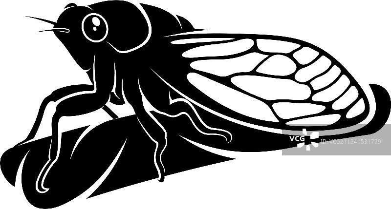 蝉创意设计logo图片素材