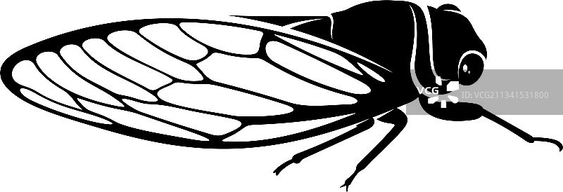 蝉创意设计logo图片素材