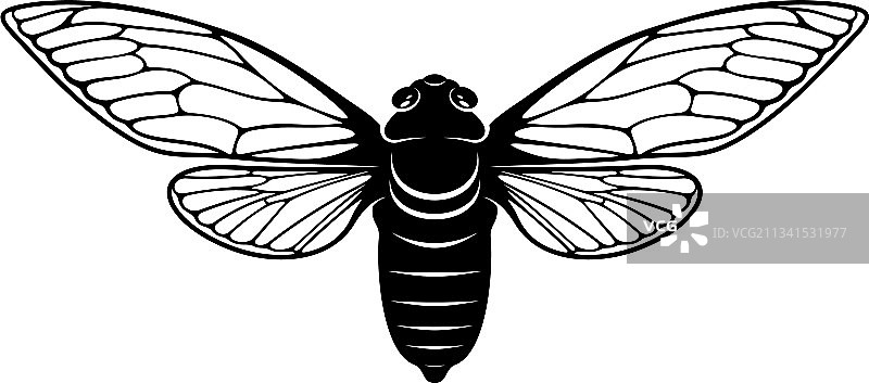 蝉创意设计logo图片素材