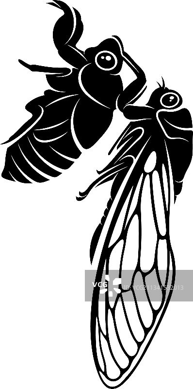 蝉创意设计logo图片素材