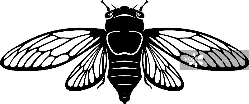 蝉创意设计logo图片素材