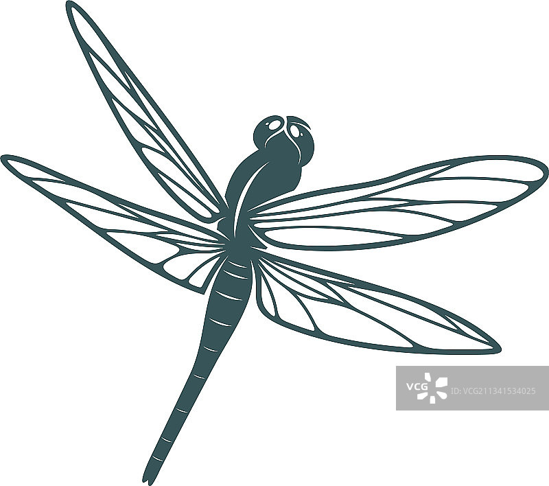 蜻蜓设计创意图片素材