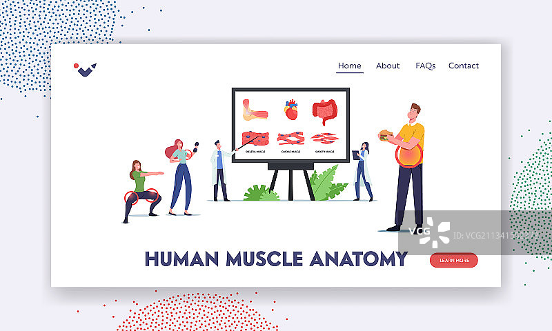 人体肌肉解剖学着陆页模板图片素材