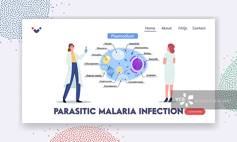 寄生疟疾感染着陆页模板图片素材
