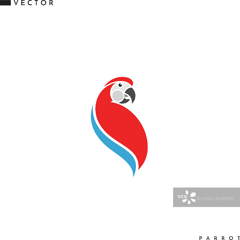 金刚鹦鹉图片素材