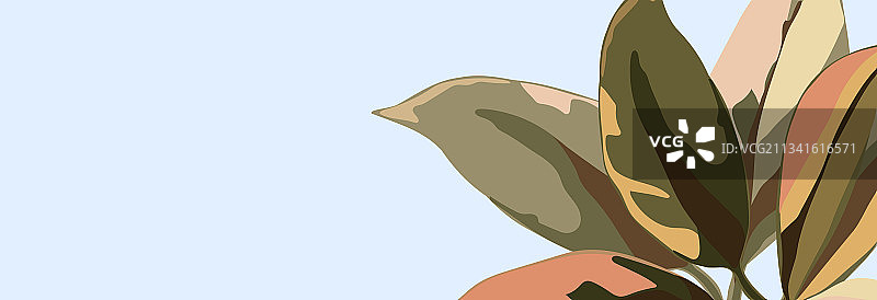 抽象自然风格Web Banner模板图片素材